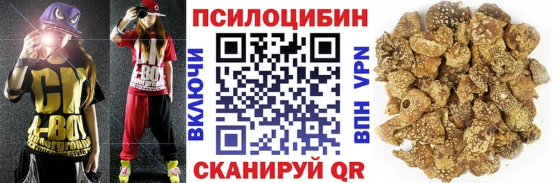 Псилоцибиновые грибы Psilocybine cubensis  Белгород 